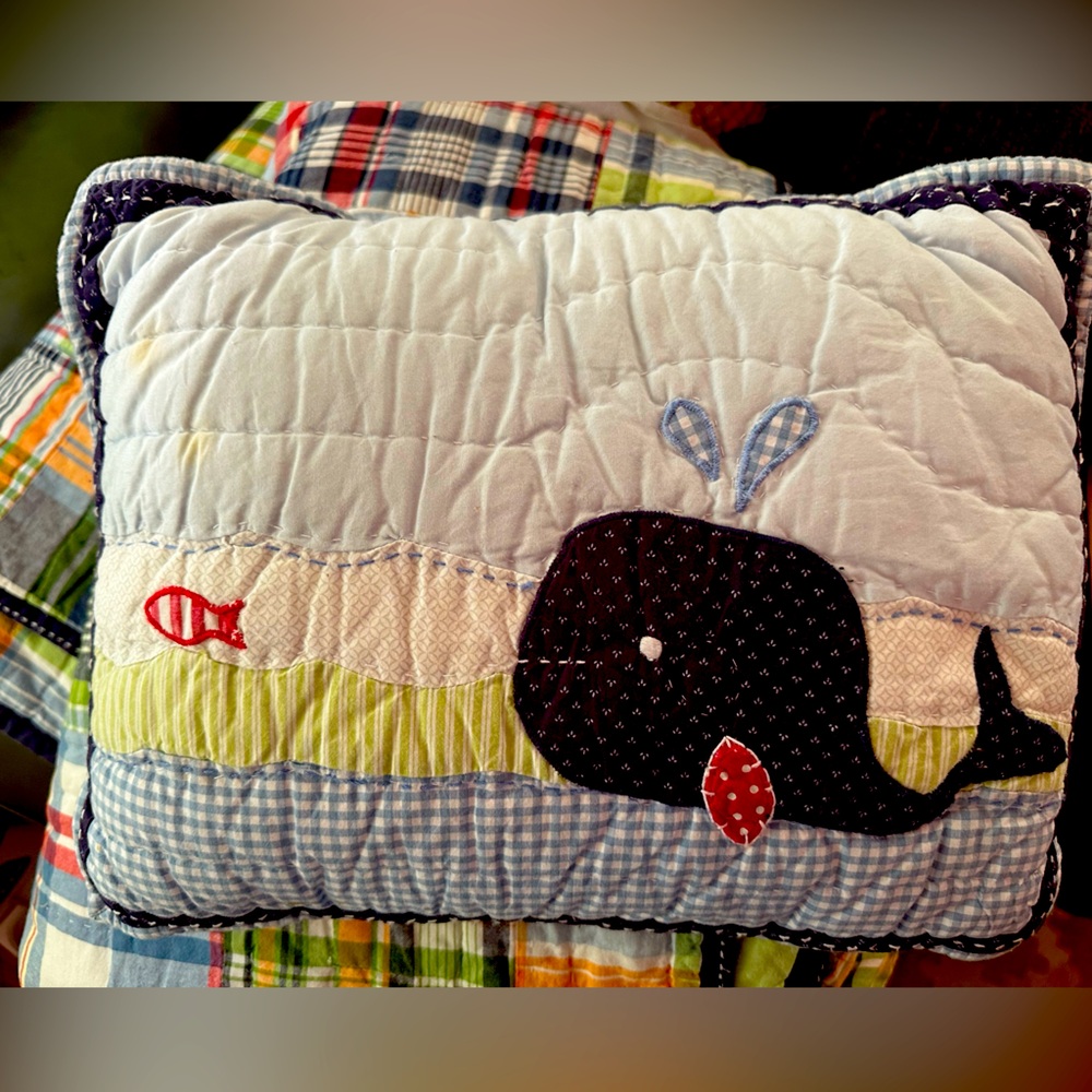 Pottery Barn Kids Whale Throw Pillow – Adorable and Cozy